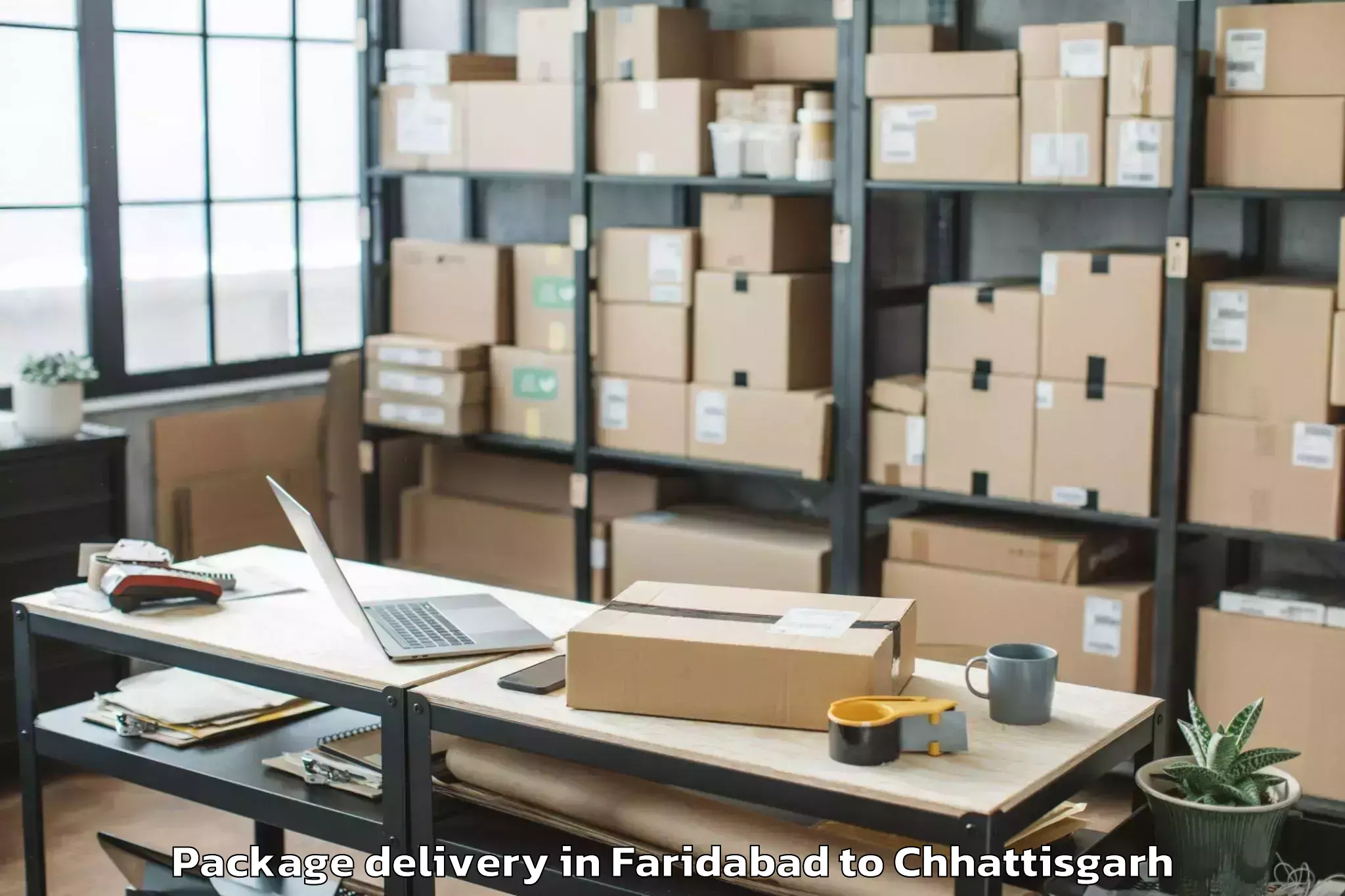 Professional Faridabad to Bilha Package Delivery